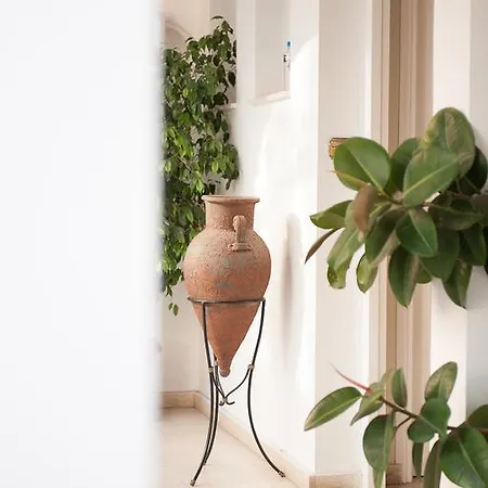 Hotel Alba Zakynthos